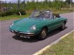 Alfa Romeo Spider - Duetto (1965) - 1 - Thumbnail