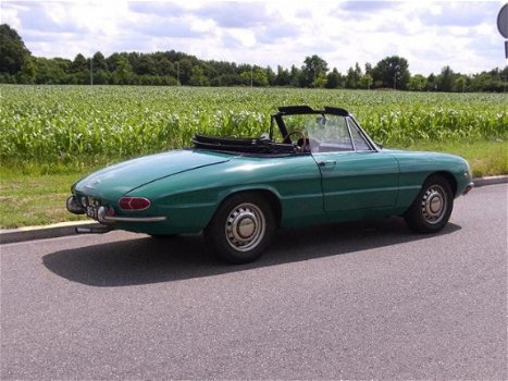 Alfa Romeo Spider - Duetto (1965) - 1