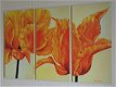 DRIELUIK GROOT 120 X 80 CM TULPEN IN BLOEI mod 1 Nieuw - 4 - Thumbnail