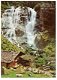 B077 Alm am Wasserfall / Grawa Wasserfall und Grawa Alm / Oostenrijk - 1 - Thumbnail