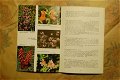 Wildflowers of Sequoia and Kings Canyon National Parks - 2 - Thumbnail