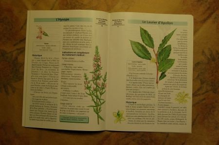 Secret & Recettes des Herbes de Provence - 2