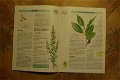 Secret & Recettes des Herbes de Provence - 2 - Thumbnail