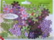 flora doodles jeweld green/ black/lavendel/purple - 1 - Thumbnail