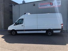 Mercedes-Benz Sprinter - 313 cdi Maxi L3 Koelauto Euro 5. Dag & Nacht Koeling