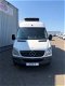 Mercedes-Benz Sprinter - 313 cdi Maxi L3 Koelauto Euro 5. Dag & Nacht Koeling - 1 - Thumbnail