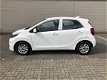 Kia Picanto - 1.0i 5-Deurs DynamicLine | NAVI | AIRCO | CAMERA | BT | CRUISE CONTROLE | ETC.. | NIEU - 1 - Thumbnail