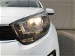 Kia Picanto - 1.0i 5-Deurs DynamicLine | NAVI | AIRCO | CAMERA | BT | CRUISE CONTROLE | ETC.. | NIEU - 1 - Thumbnail