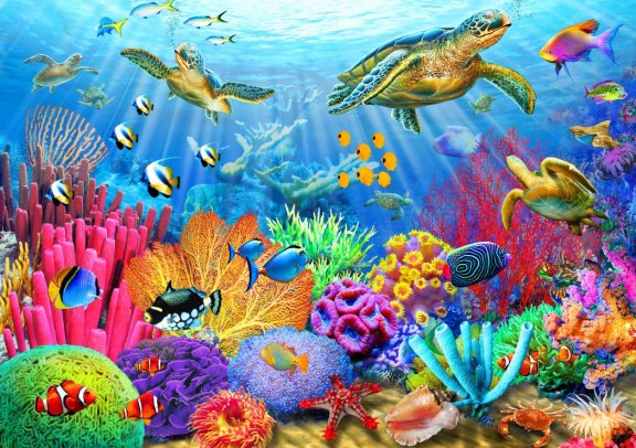 Bluebird Puzzle - Turtle Coral Reef - 1000 Stukjes - nr. 1