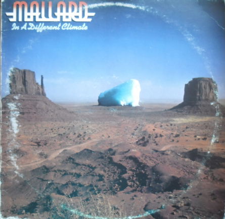 Mallard / In a different climate - nr. 1