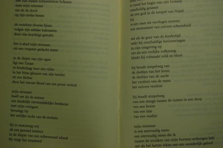 Forough Farrokhzad: Mijn minnaar en andere gedichten - 2