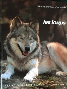 Les loups, Gerard Menatory