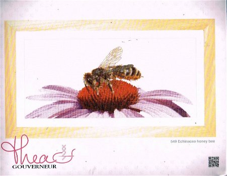 AANBIEDING THEA GOUVERNEUR BORDUURPAKKET ,ECHINACEA HONEY BEE 549 - 1