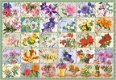Castorland - Vintage Floral - 1000 Stukjes - 1 - Thumbnail