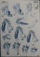 3D Knipvel (A4) --- KINDEREN --- Helga Mârtaré CD10318 --- DIVERSE AFBEELDINGEN -----> Blauw-Wit - 1 - Thumbnail