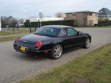 Ford Thunderbird - thunderbird