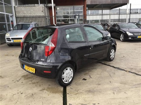 Fiat Punto - 1.3 JTD Dynamic - 1