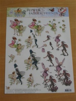 3D Knipvel (A4) --- KINDEREN --- FLOWER FAIRIES STAPFF40 --- FLOWER FAIRIES FRIENDS 40 - 1