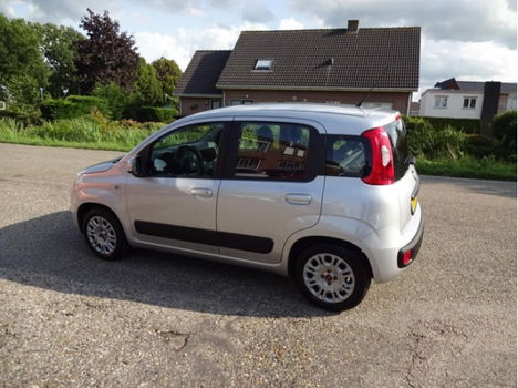 Fiat Panda - 0.9 TwinAir Edizione Cool / Profiteer van onze najaarsactie - 1