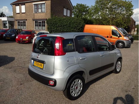 Fiat Panda - 0.9 TwinAir Edizione Cool / Profiteer van onze najaarsactie - 1