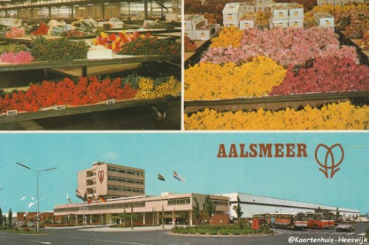 Aalsmeer Snijbloemenafdeling - 1