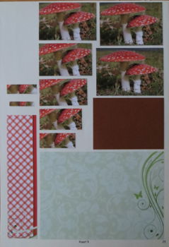 A4 Piramide knipvel --- Kaart 9 --- PADDENSTOELEN -----> ROOD met WITTE STIPPEN --- Met ACHTERGROND - 1