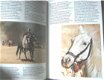 Artis boek - Arabië - 5 - Thumbnail