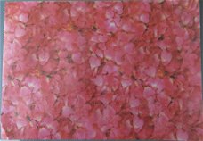 VELLUM (A4) --- Geen nummer --- ROZE-RODE BLOEMEN