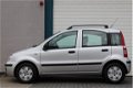 Fiat Panda - 1.2 Edizione Cool NAP/AIRCO/5DEURS/ - 1 - Thumbnail