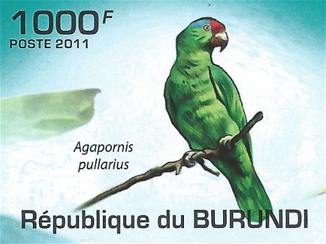 Postzegels Burundi - 2011 - Papegaaien (Blok) - 2