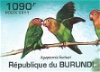 Postzegels Burundi - 2011 - Papegaaien (Blok) - 3 - Thumbnail