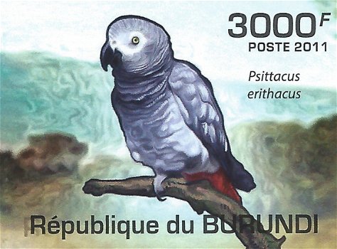 Postzegels Burundi - 2011 - Papegaaien (Blok) - 5