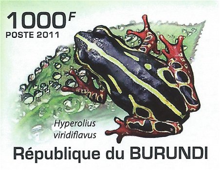 Postzegels Burundi - 2011 - Kikkers (Blok) - 2