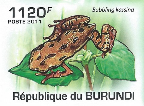 Postzegels Burundi - 2011 - Kikkers (Blok) - 3