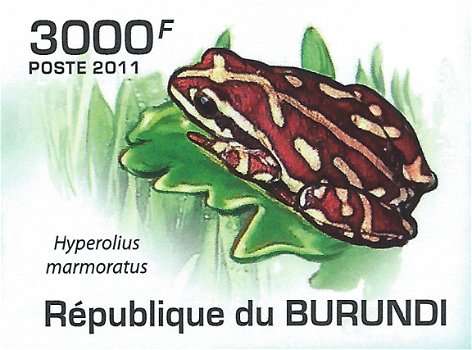 Postzegels Burundi - 2011 - Kikkers (Blok) - 5