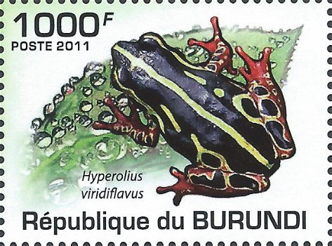Postzegels Burundi - 2011 - Kikkers (Blok) - 2