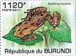 Postzegels Burundi - 2011 - Kikkers (Blok) - 3 - Thumbnail