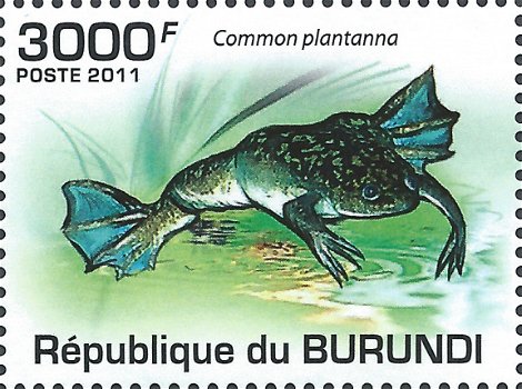 Postzegels Burundi - 2011 - Kikkers (Blok) - 4
