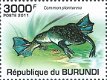 Postzegels Burundi - 2011 - Kikkers (Blok) - 4 - Thumbnail