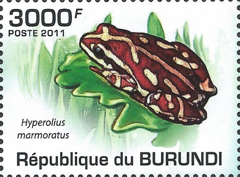 Postzegels Burundi - 2011 - Kikkers (Blok) - 5