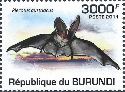 Postzegels Burundi - 2011 - Vleermuizen (Blok) - 4