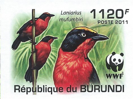 Postzegels Burundi - 2011 - Vogels (Blok) - 2