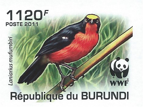 Postzegels Burundi - 2011 - Vogels (Blok) - 3