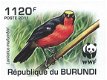 Postzegels Burundi - 2011 - Vogels (Blok) - 3 - Thumbnail