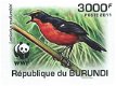 Postzegels Burundi - 2011 - Vogels (Blok) - 4 - Thumbnail