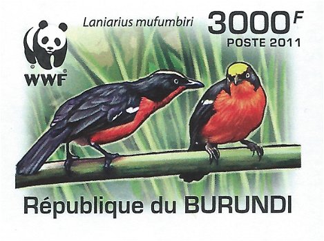 Postzegels Burundi - 2011 - Vogels (Blok) - 5