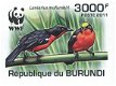 Postzegels Burundi - 2011 - Vogels (Blok) - 5 - Thumbnail