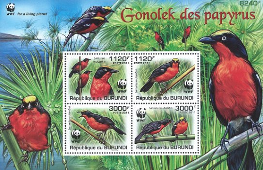 Postzegels Burundi - 2011 - Vogels (Blok) - 1