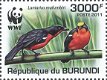 Postzegels Burundi - 2011 - Vogels (Blok) - 5 - Thumbnail