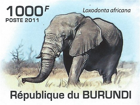 Postzegels Burundi - 2011 - Olifanten (Blok) - 3